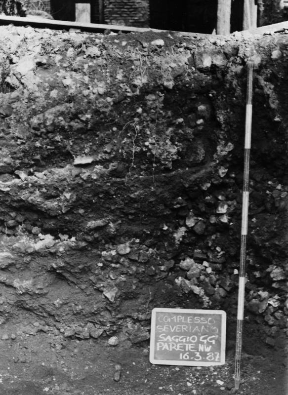 TS-CES034-asf007806.jpg