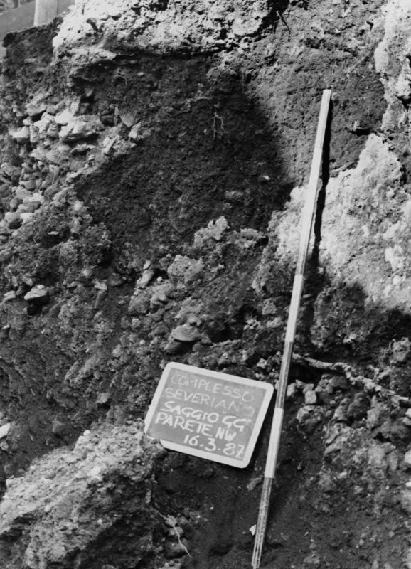 TS-CES049-asf007790.jpg