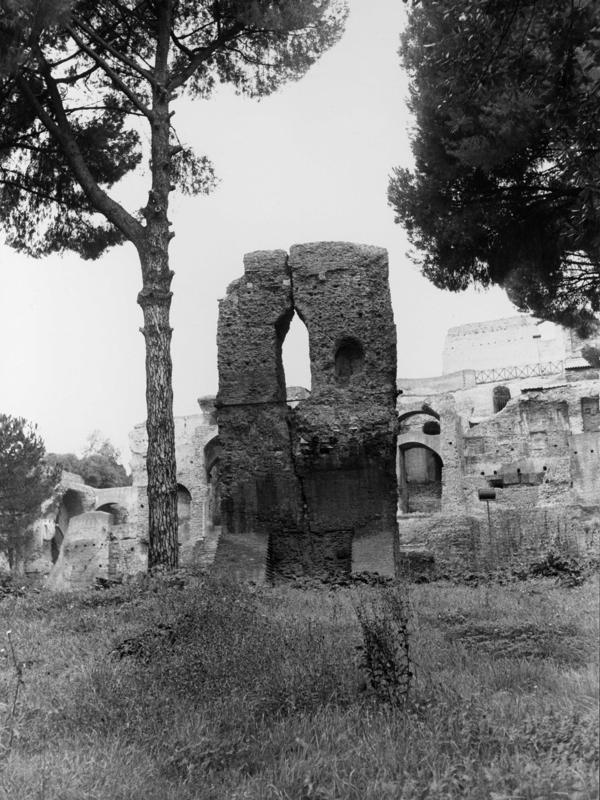 TS-PA001-asf007807.jpg