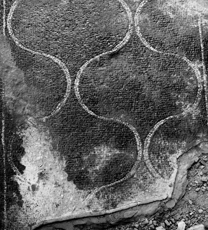 TS-P004-asf007890.jpg