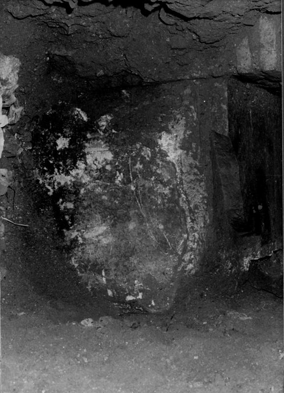 TS-R004-asf007904.jpg