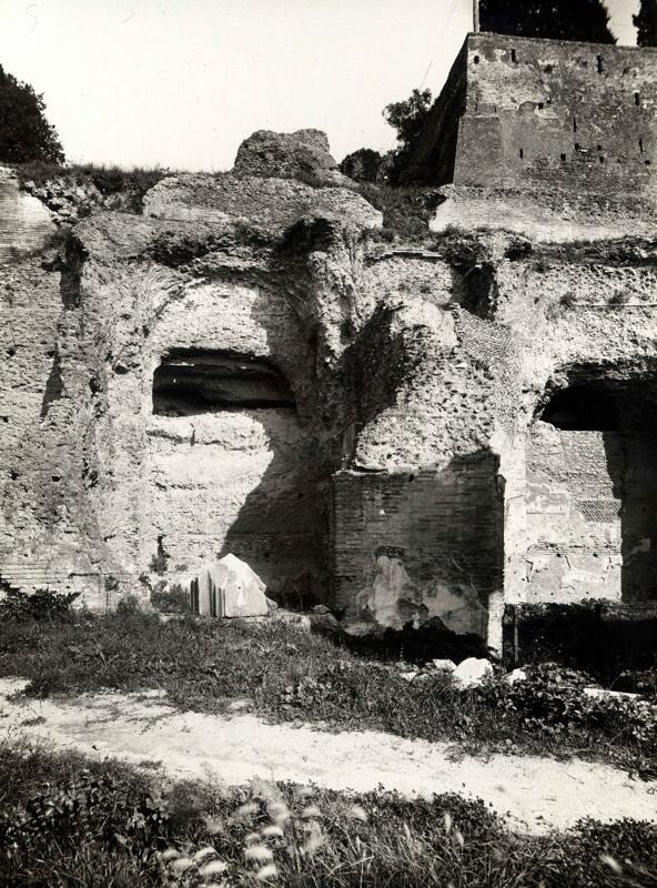 Pal- AS001-asf007913.jpg