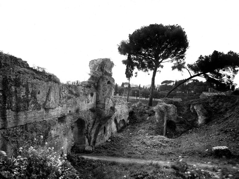 Pal- AS013-asf007925.jpg