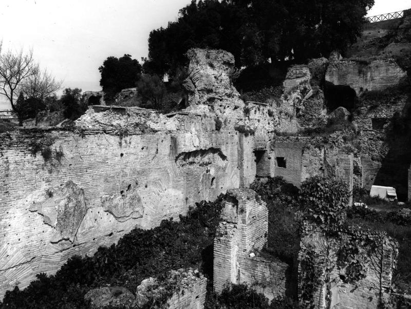 Pal- AS014-asf007926.jpg