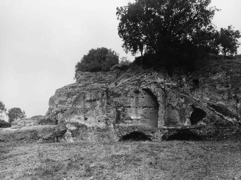 V-ASO011-asf008369.jpg