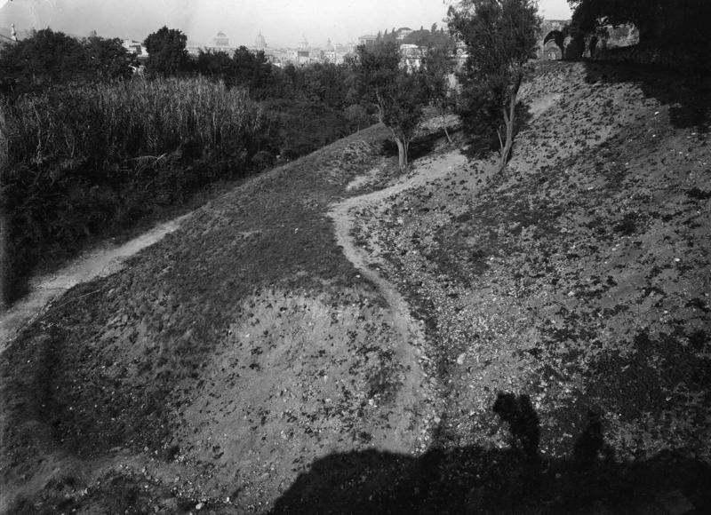 V-ASO015-asf008373.jpg