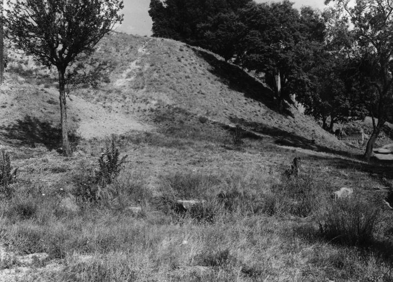 V-ASO014-asf008372.jpg