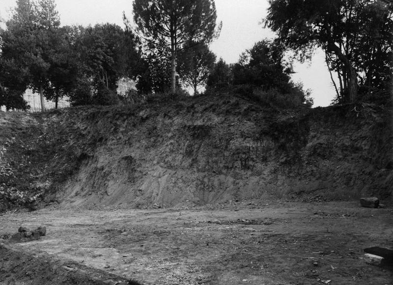 V-ASO016-asf008374.jpg