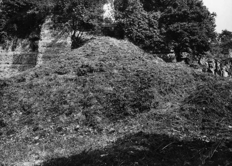 V-ASO025-asf008383.jpg