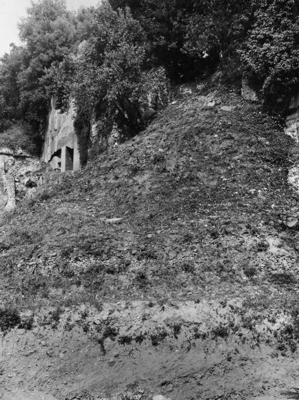 V-ASO027-asf008385.jpg