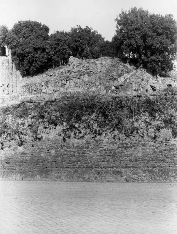V-ASO030-asf008388.jpg