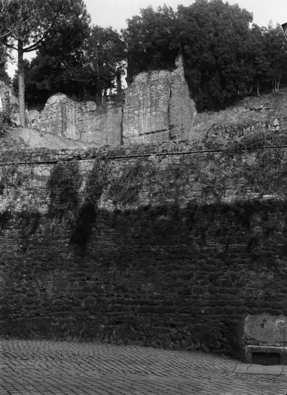 V-ASO031-asf008389.jpg