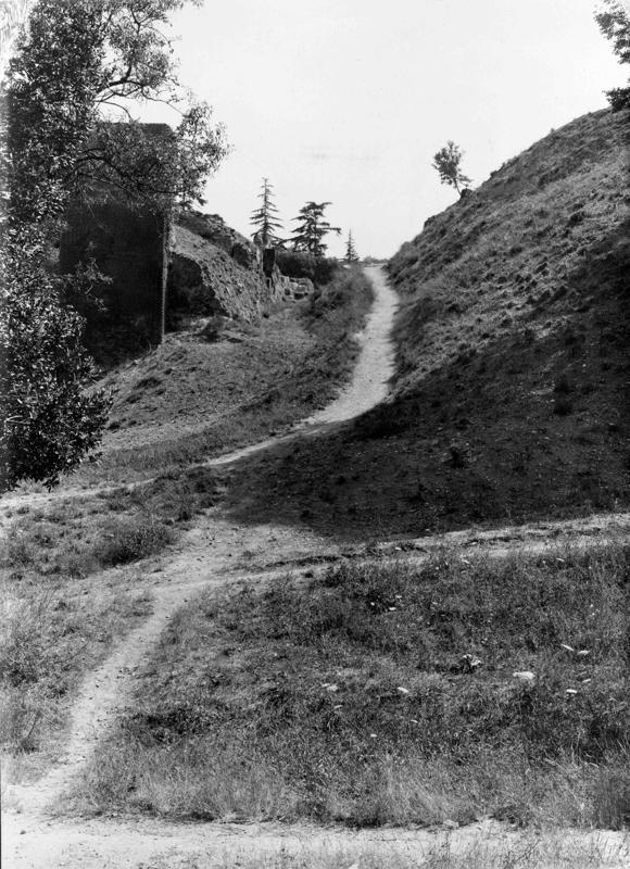 V-ASO041-asf008399.jpg