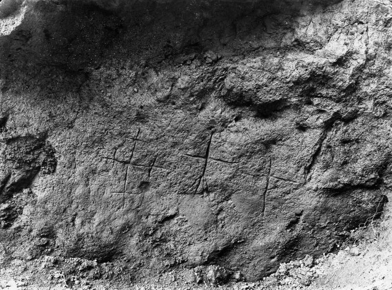 V-ASO042-asf008400.jpg
