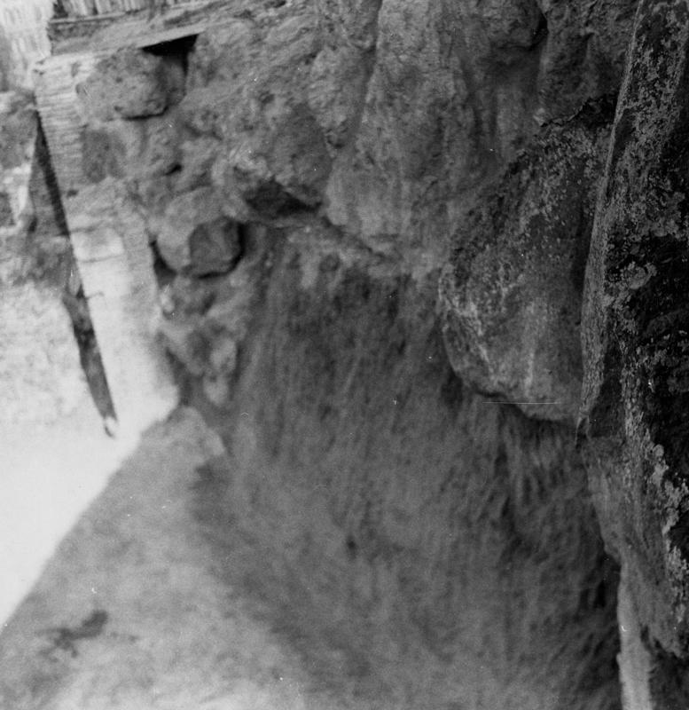 V-ASO080-asf008463.jpg
