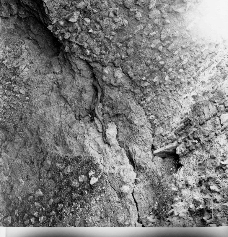 V-ASO093-asf008476.jpg