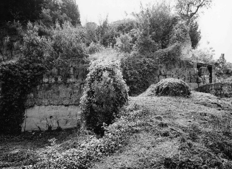 V-ASO100-asf008483.jpg