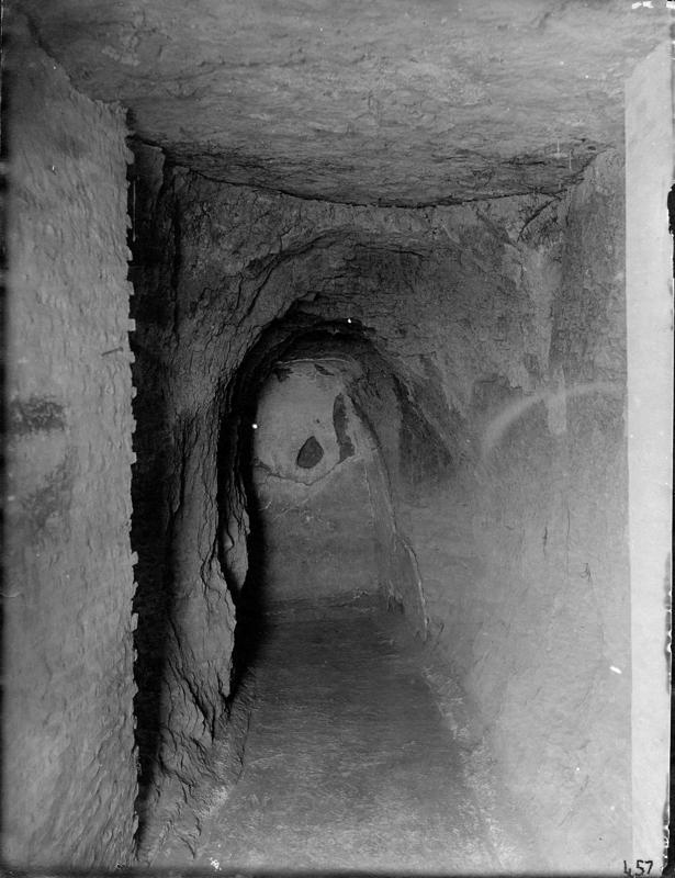 V-CRL002-asf007949.jpg