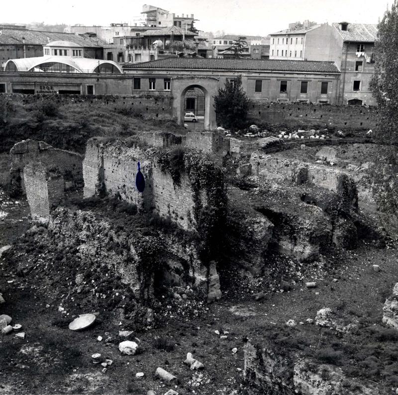 V-C001-asf007950.jpg