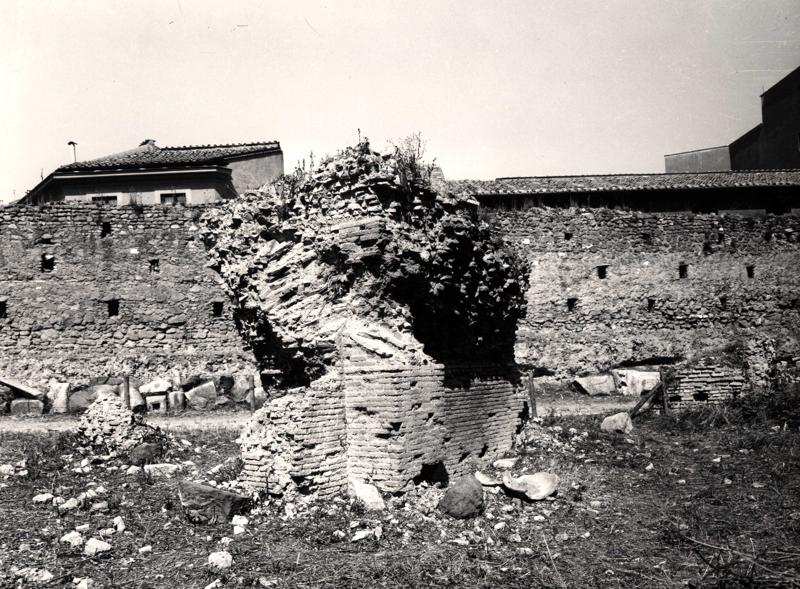 V-C002-asf007951.jpg