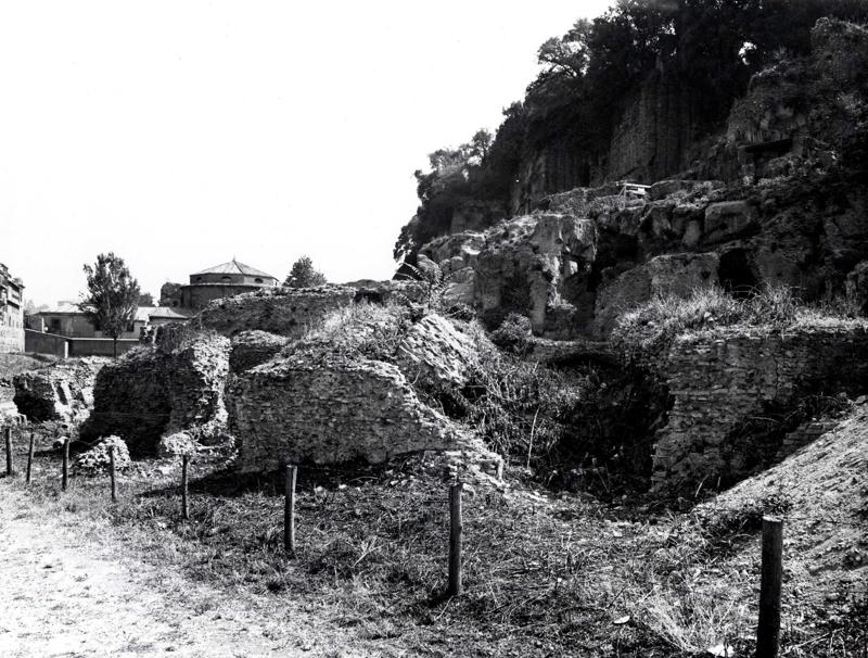 V-C003-asf007952.jpg