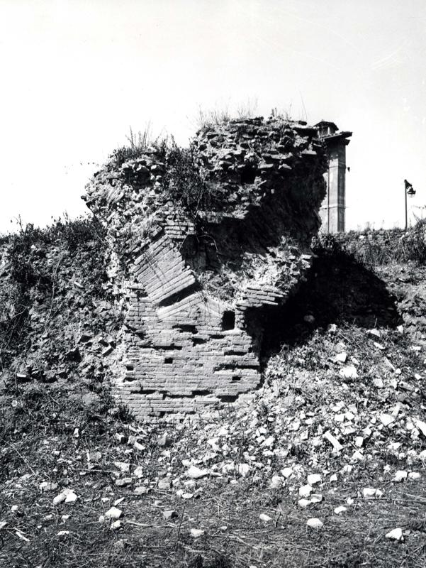 V-C004-asf007953.jpg