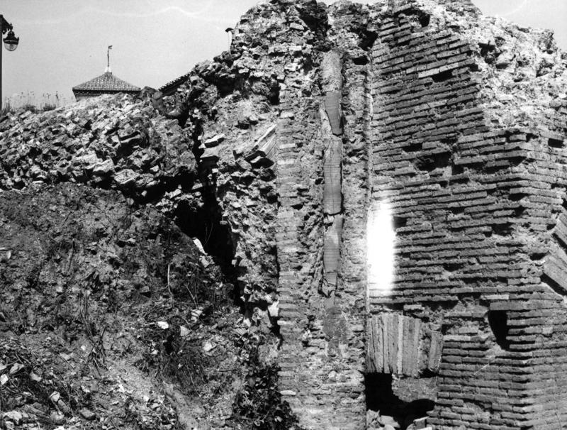 V-C006-asf007955.jpg