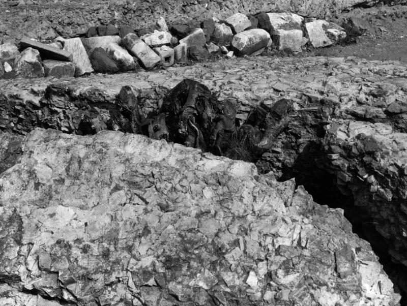 V-C009-asf007958.jpg