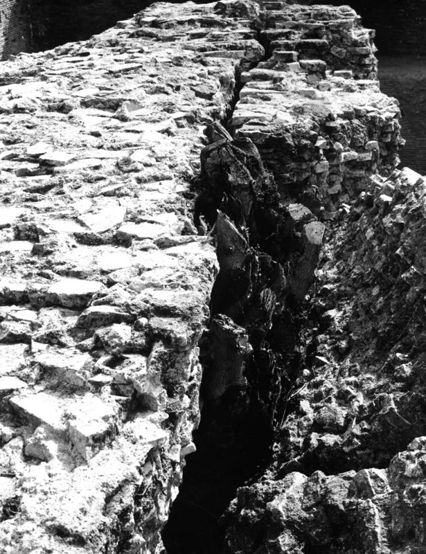 V-C011-asf007960.jpg