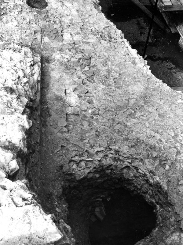 V-C015-asf007966.jpg