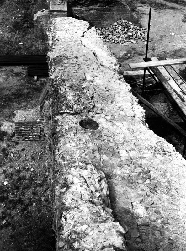 V-C016-asf007967.jpg