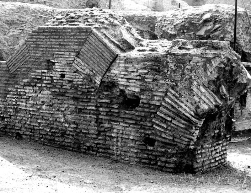 V-C019-asf007970.jpg