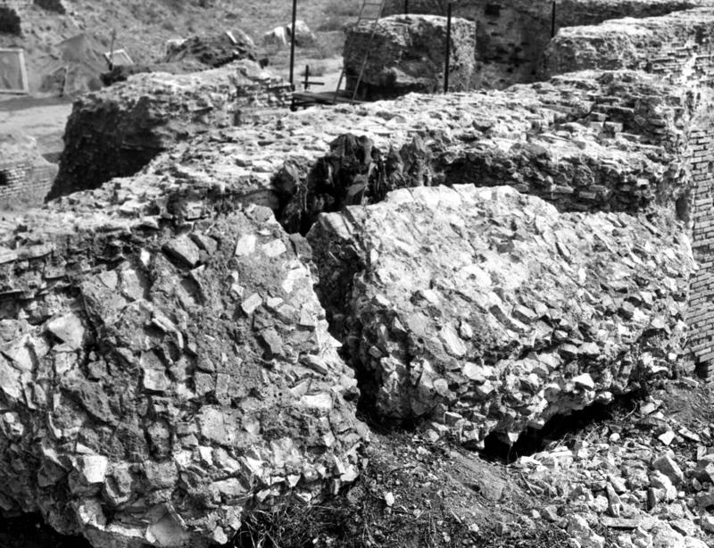 V-C020-asf007971.jpg