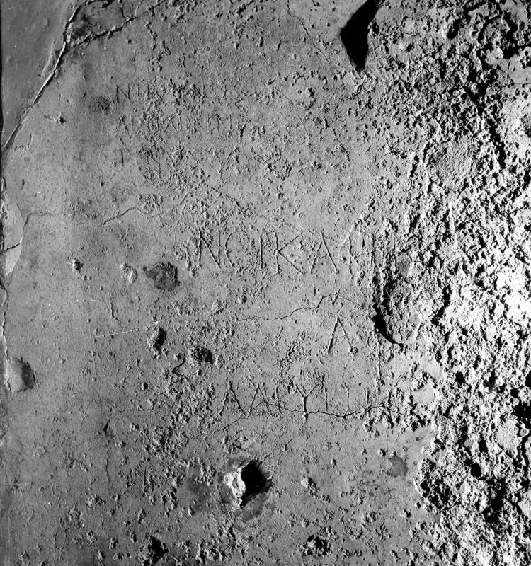 Pal- G009-asf007986.jpg