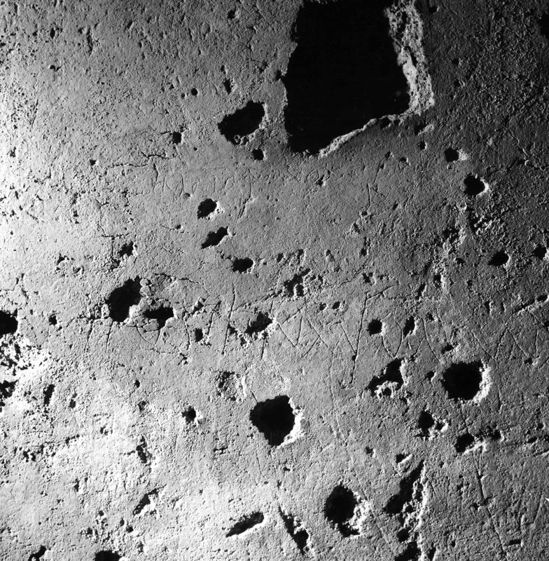 Pal- G012-asf007990.jpg