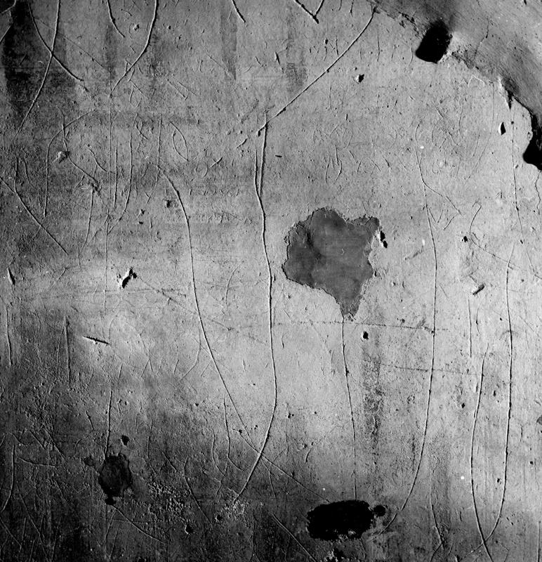 Pal- G013-asf007991.jpg
