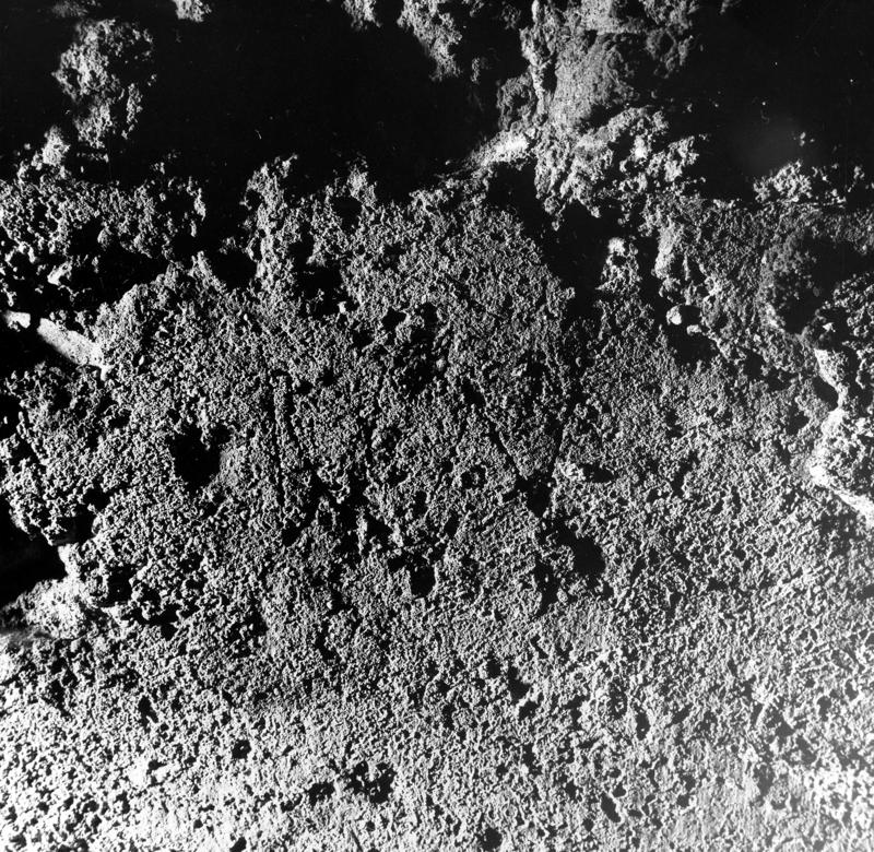 Pal- G035-asf008013.jpg
