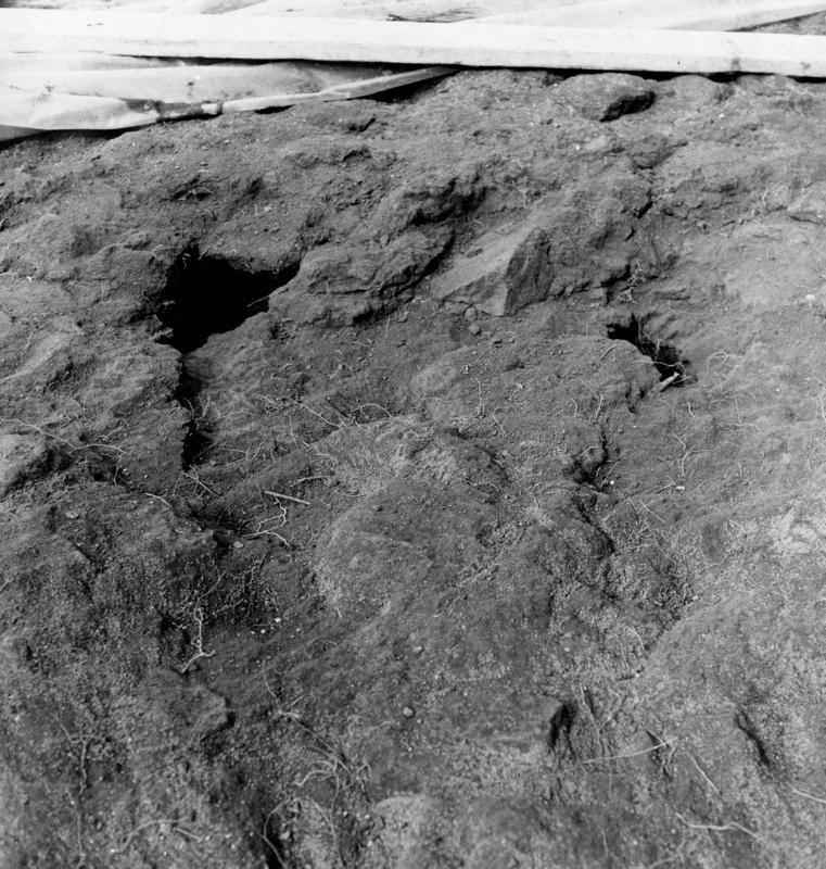 V-ON003-asf008280.jpg