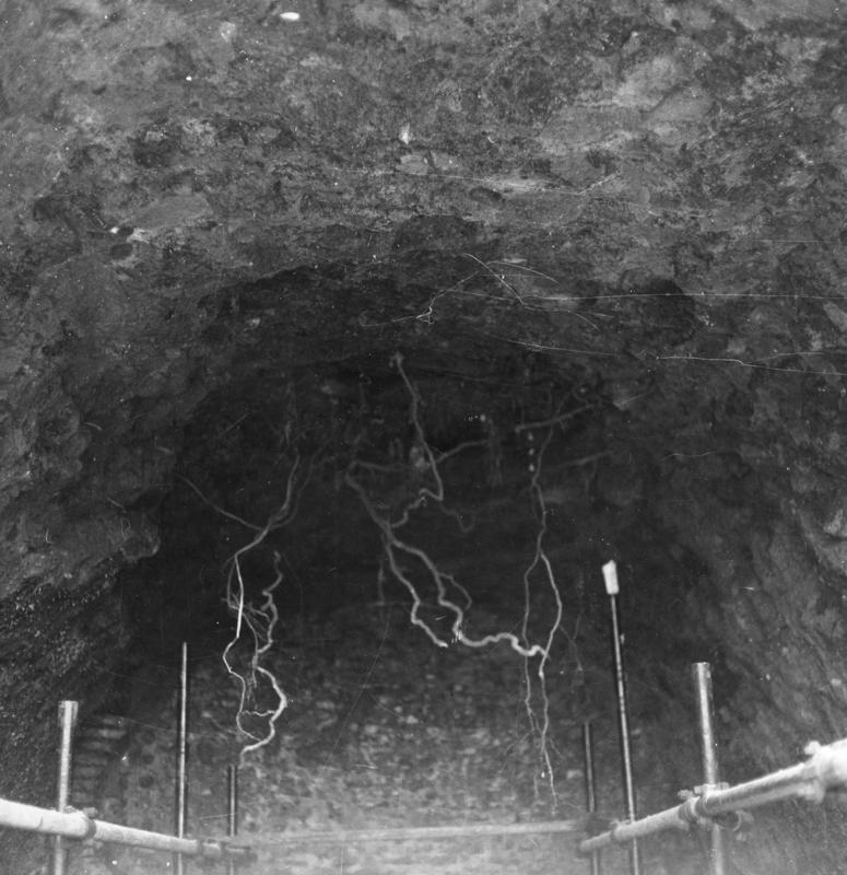 V-ON006-asf008284.jpg