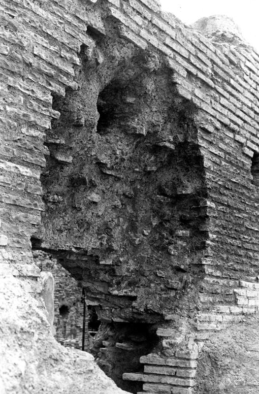 V-ON009-asf008288.jpg
