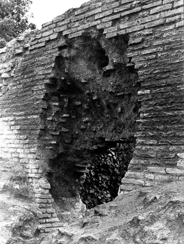 V-ON011-asf008290.jpg