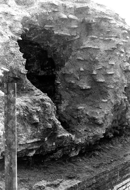 V-ON010-asf008289.jpg