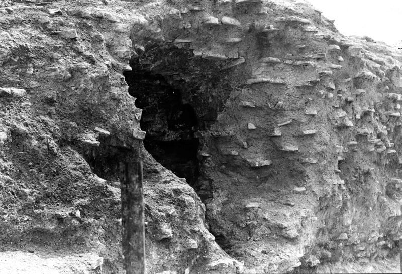 V-ON013-asf008292.jpg