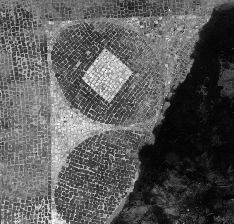 Pal- P003-asf008295.jpg