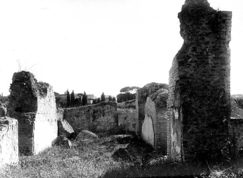Pal-V016-asf008317.jpg
