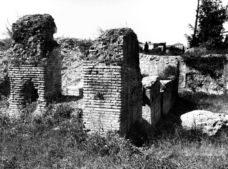Pal-V017-asf008318.jpg