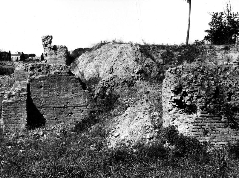 Pal-V018-asf008319.jpg