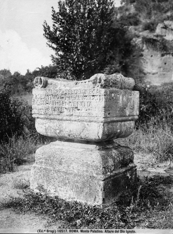 V-R001-asf008329.jpg