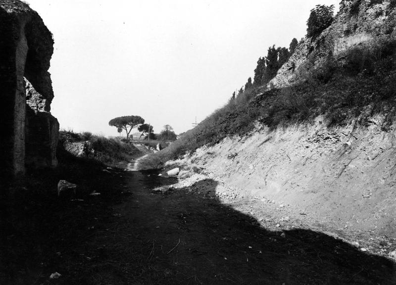 Pal- SEDA005-asf008351.jpg