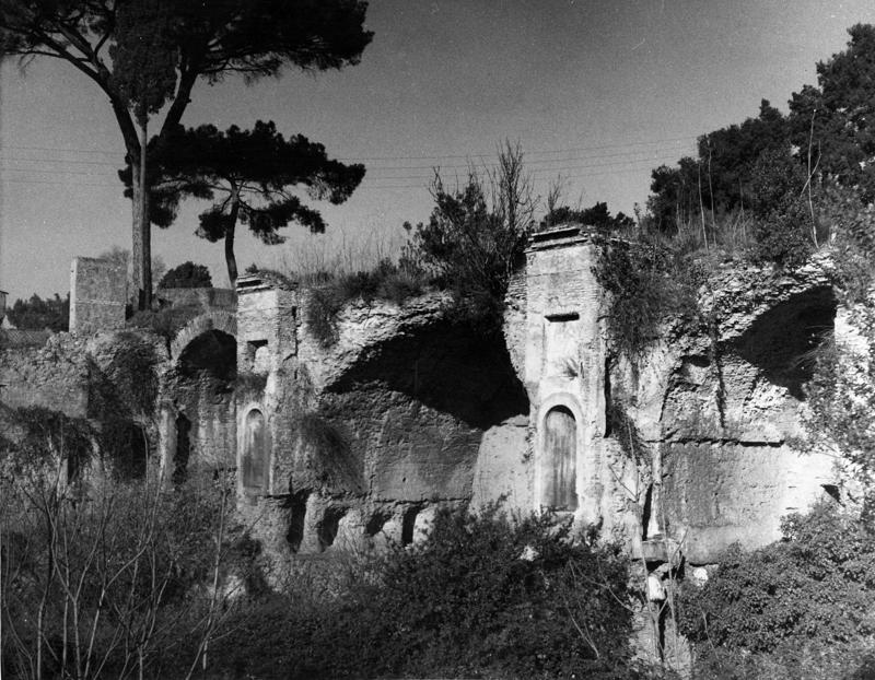 VC-SP001-asf008992.jpg